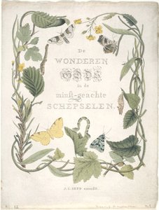 Ensimmäisen jengin ensimmäisen perheen yöperhoset. Tab. III., 1762-1860